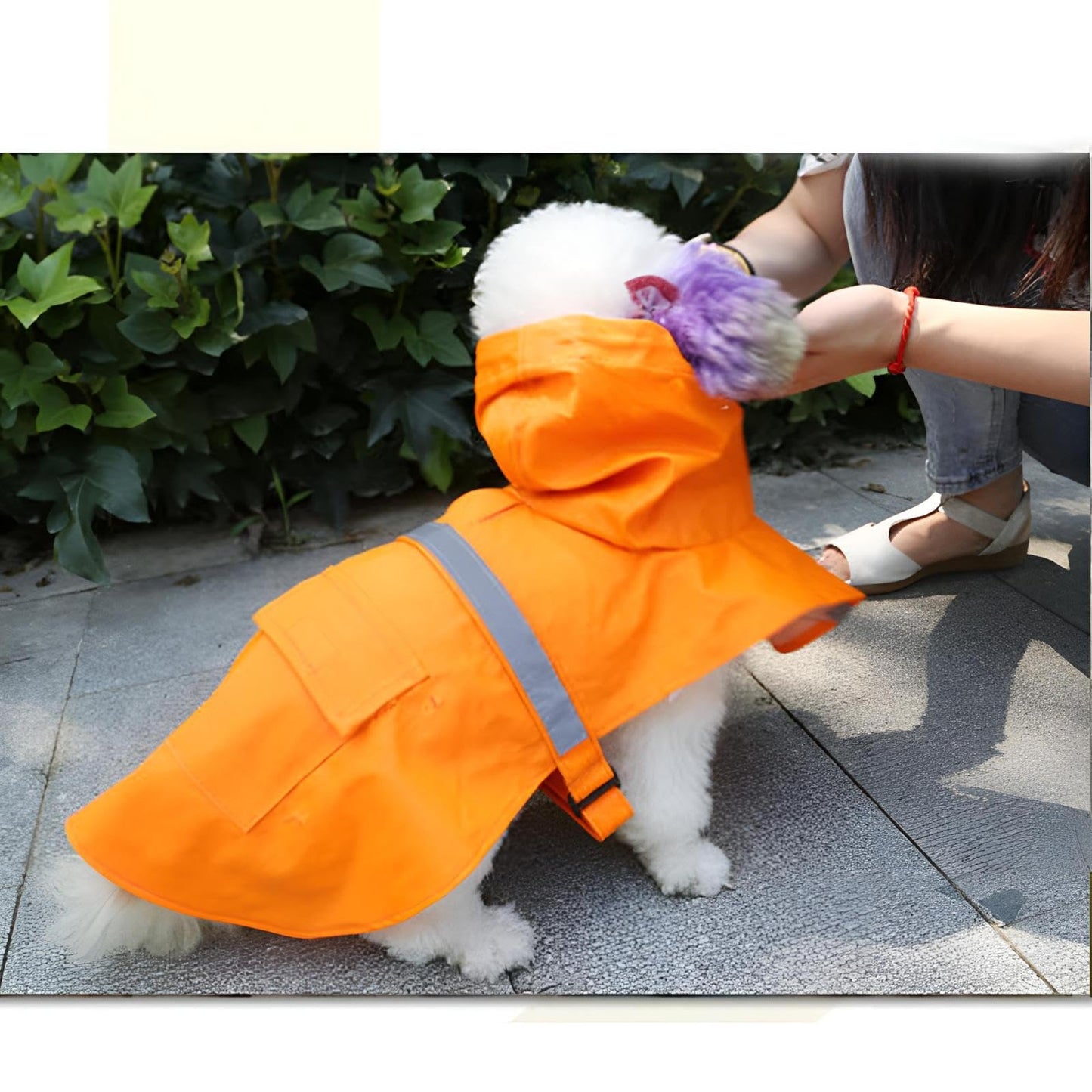 Dog Raincoat Adjustable - Pet Dinosaurs Water Proof Clothes Lightweight Rain Jacket Poncho Hoodies with Strip Reflective Blue