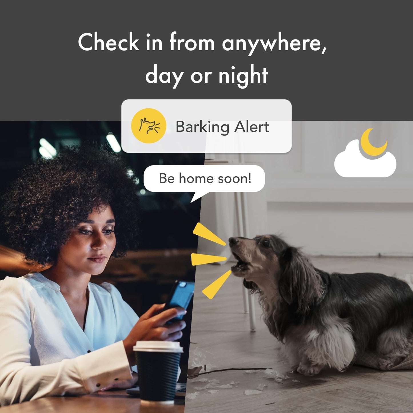Furbo 360° Dog Camera + Nanny Bundle: Home Security & Dog Safety Alerts, Rotating Pet Treat Dispenser Camera with Speaker, Smart Home Indoor Cam w Phone App (Additional Subscription Required at Setup)