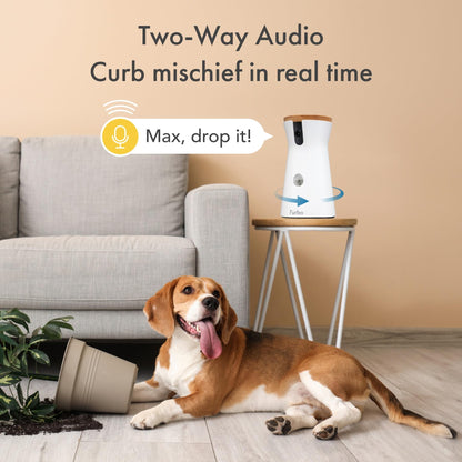 Furbo 360° Dog Camera + Nanny Bundle: Home Security & Dog Safety Alerts, Rotating Pet Treat Dispenser Camera with Speaker, Smart Home Indoor Cam w Phone App (Additional Subscription Required at Setup)