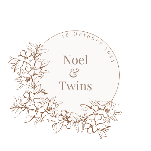 Noel and Twins